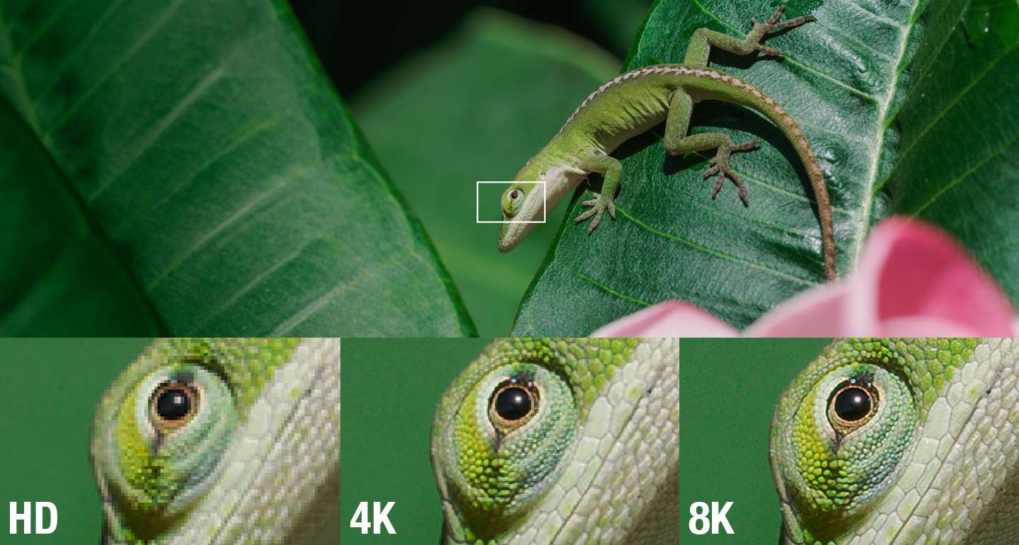 Сравнение разрешений 8K, 4K, HD